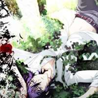  ����� Shiki <small>Director of Photography</small> 